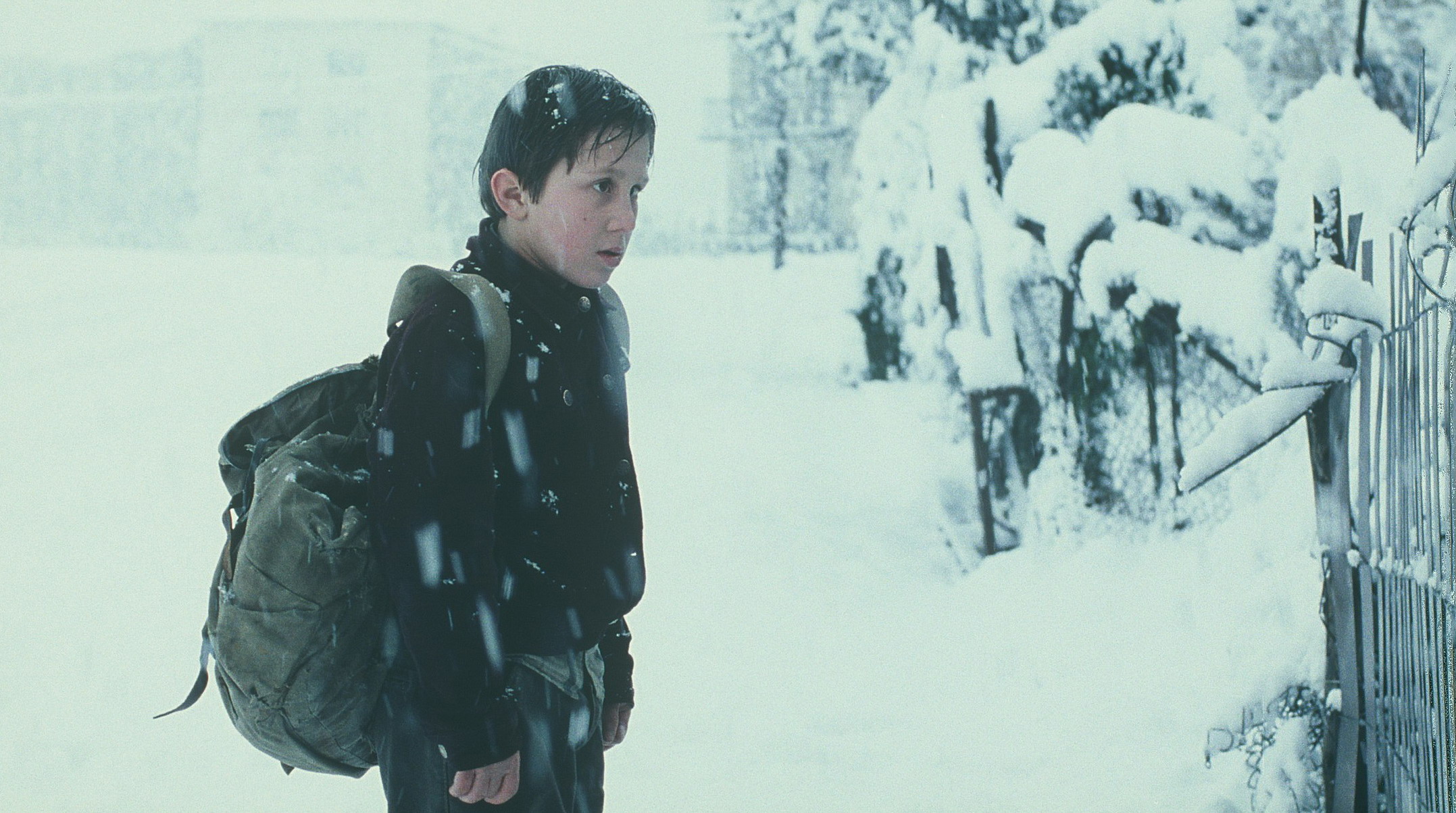 Picture from the movie