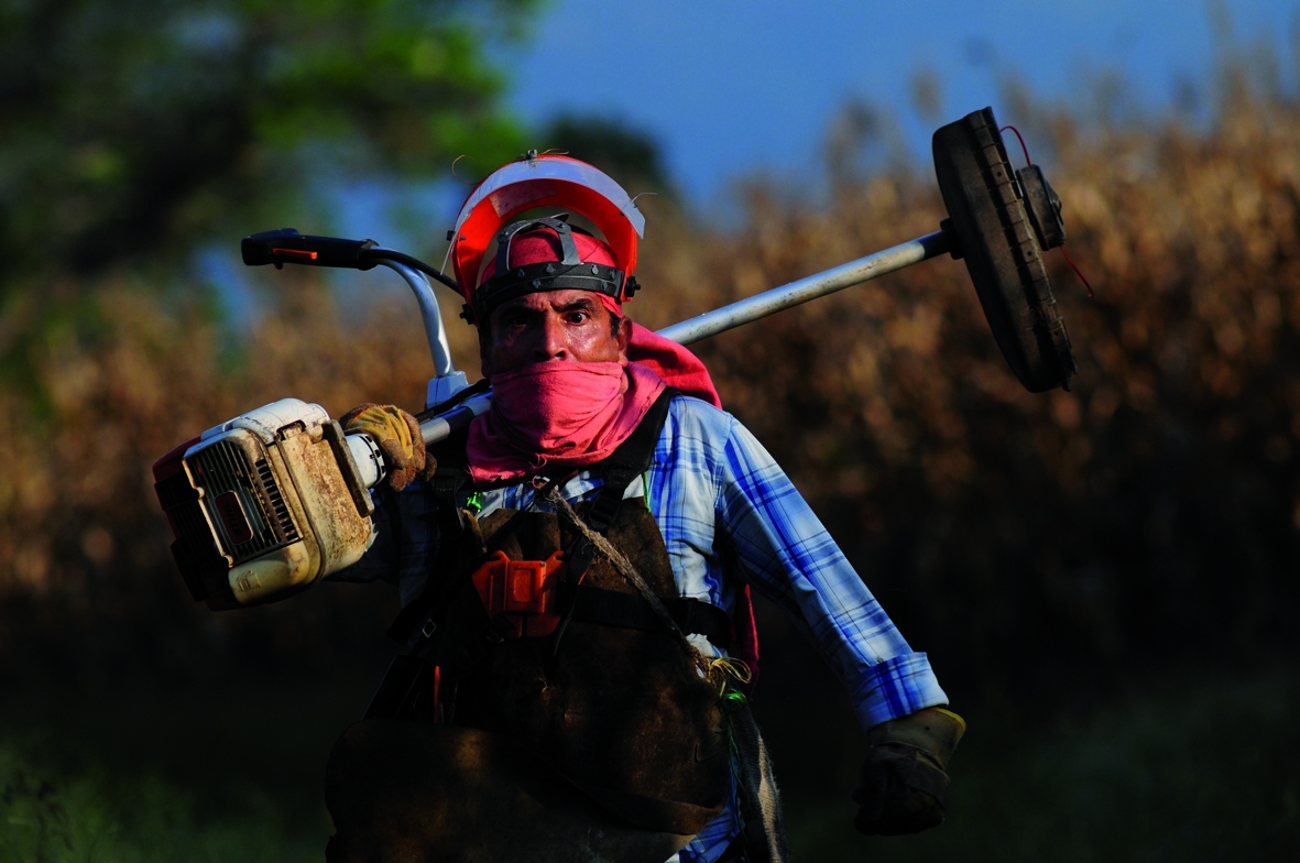 Picture from the movie