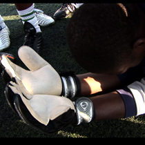 Picture from the movie