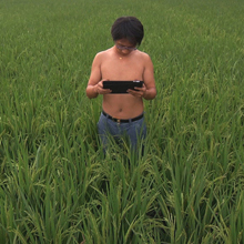 Picture from the movie