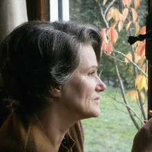 Picture from the movie