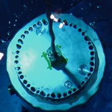 Picture from the movie