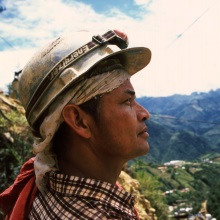 Picture from the movie