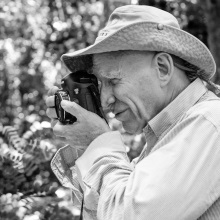 Picture from the movie