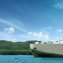 Picture from the movie