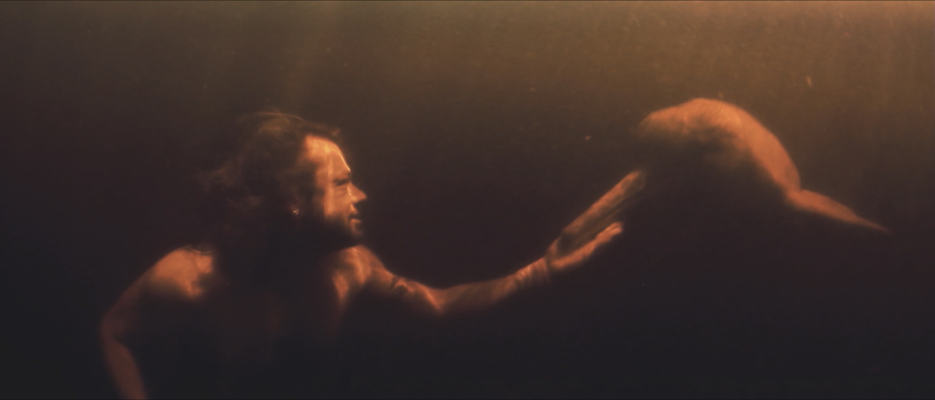 Picture from the movie