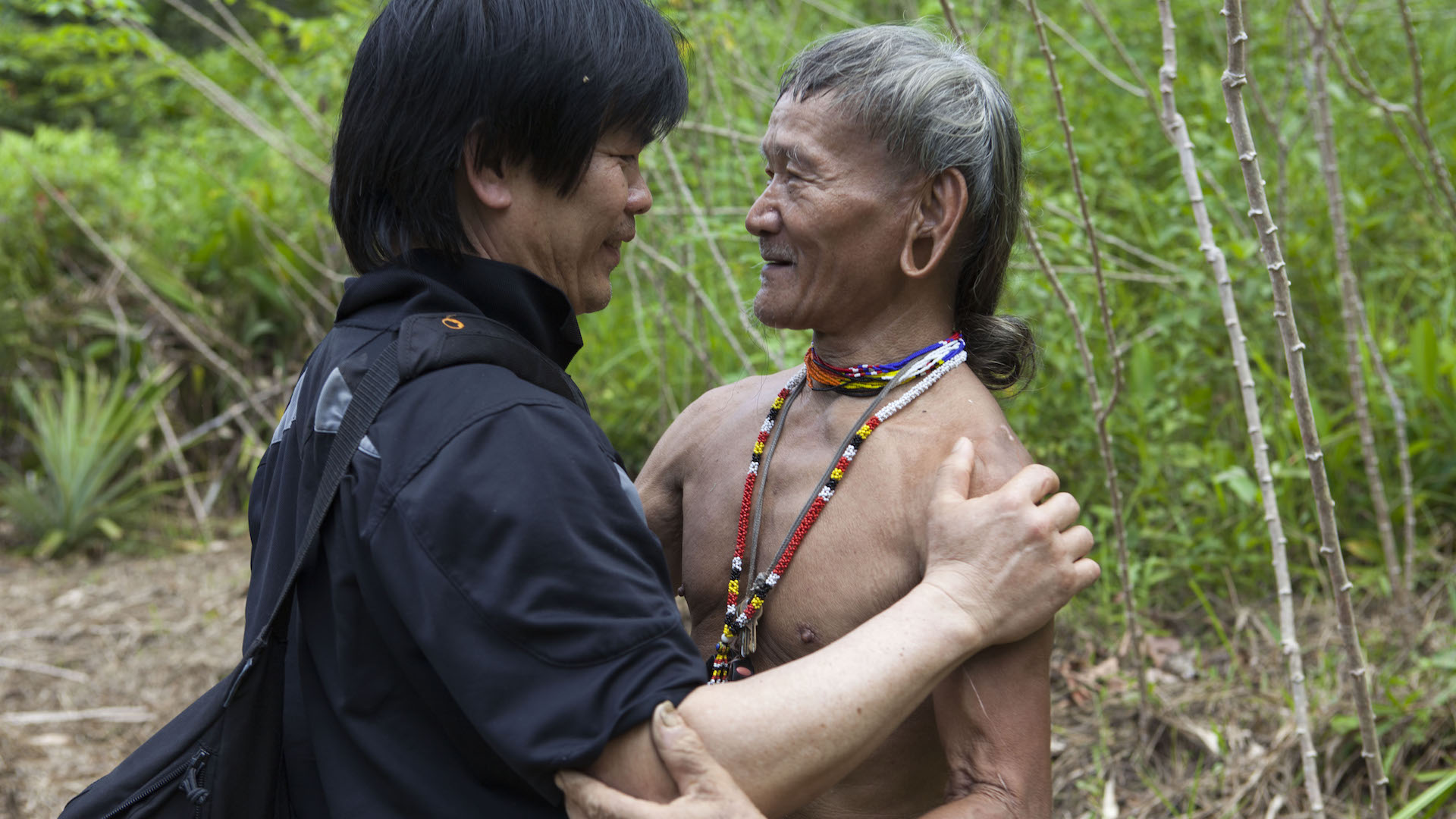 Picture from the movie