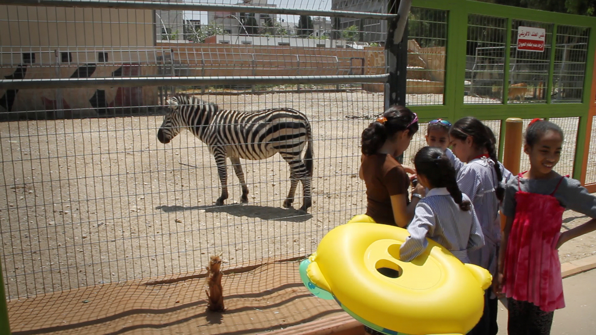 Picture from the movie