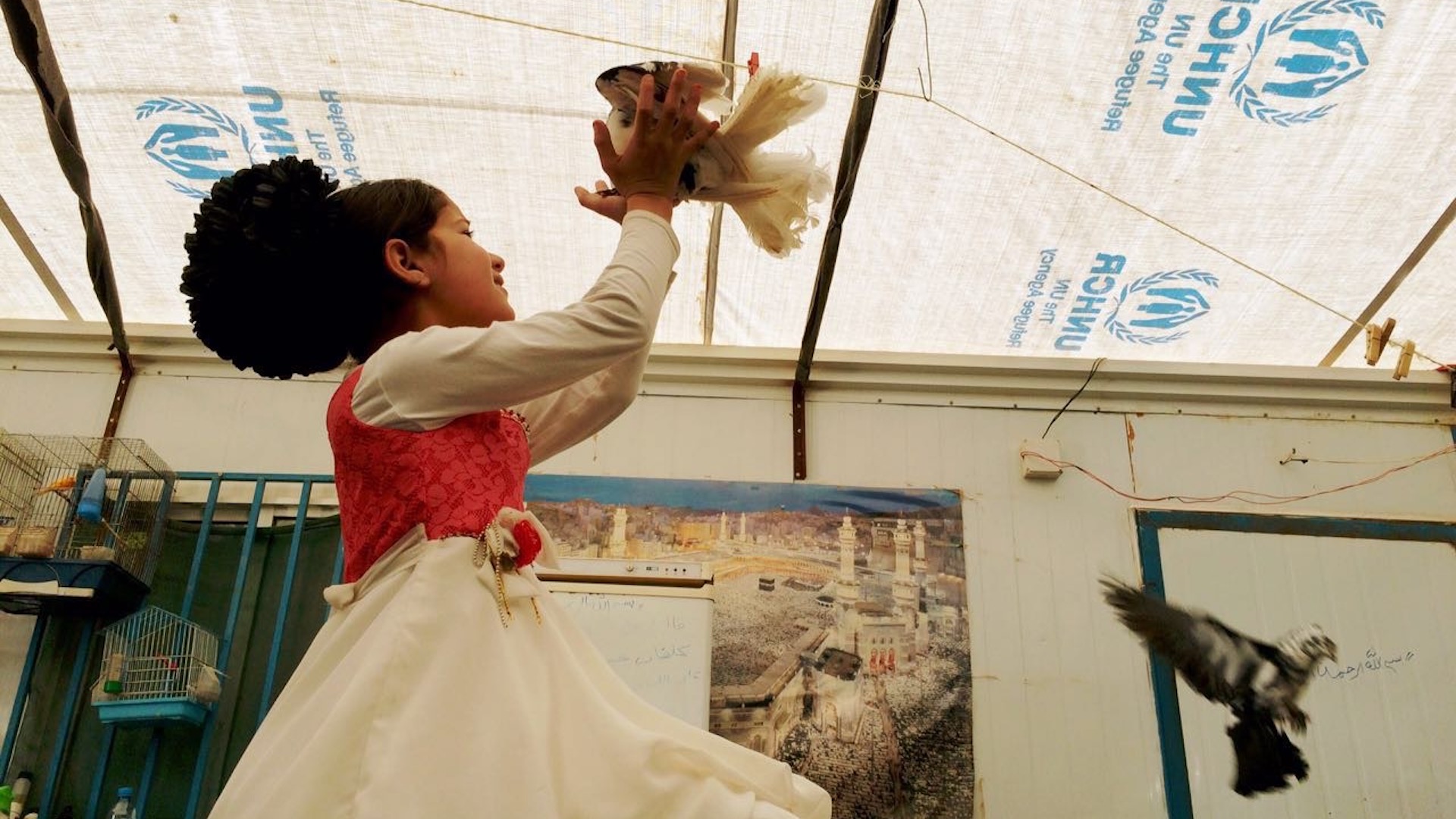 Picture from the movie