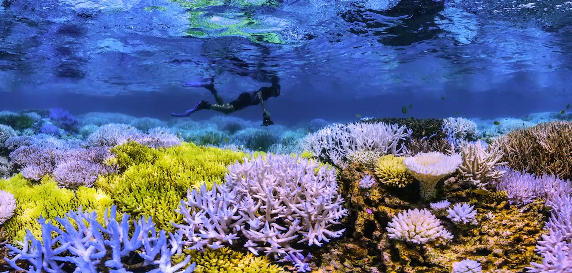 Afbeelding uit de film