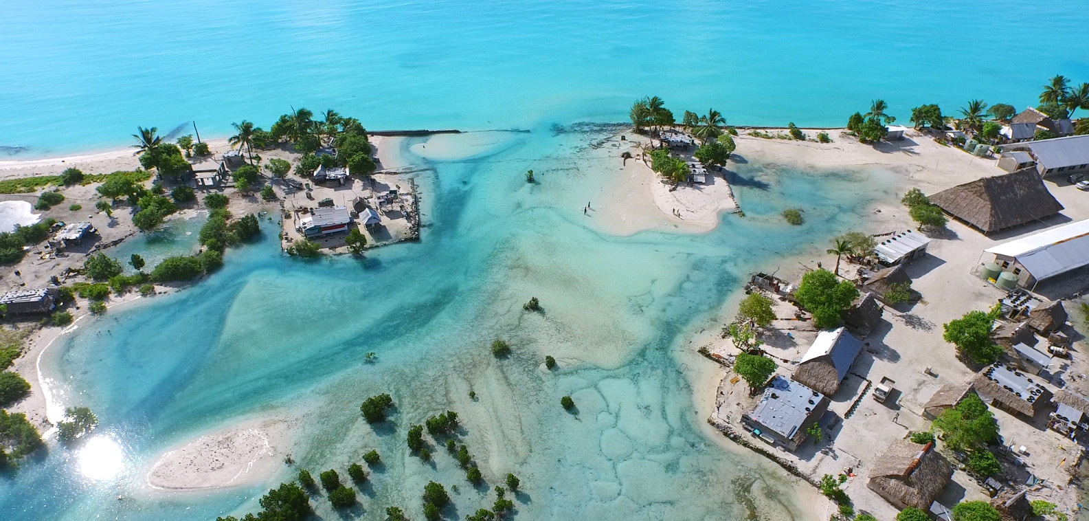 Picture from the movie