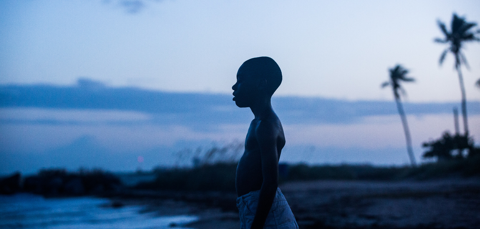 Picture from the movie