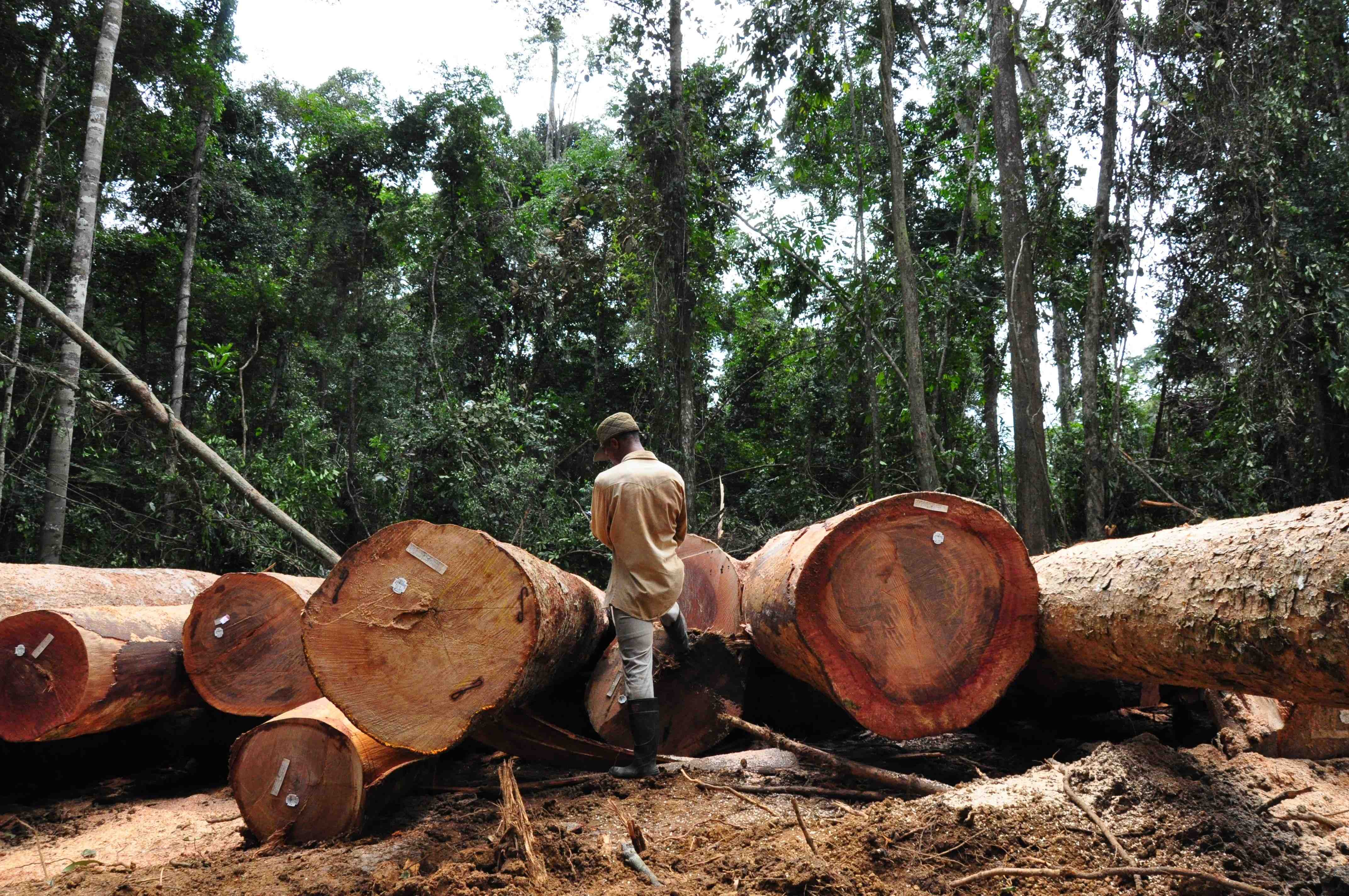 Picture from the movie