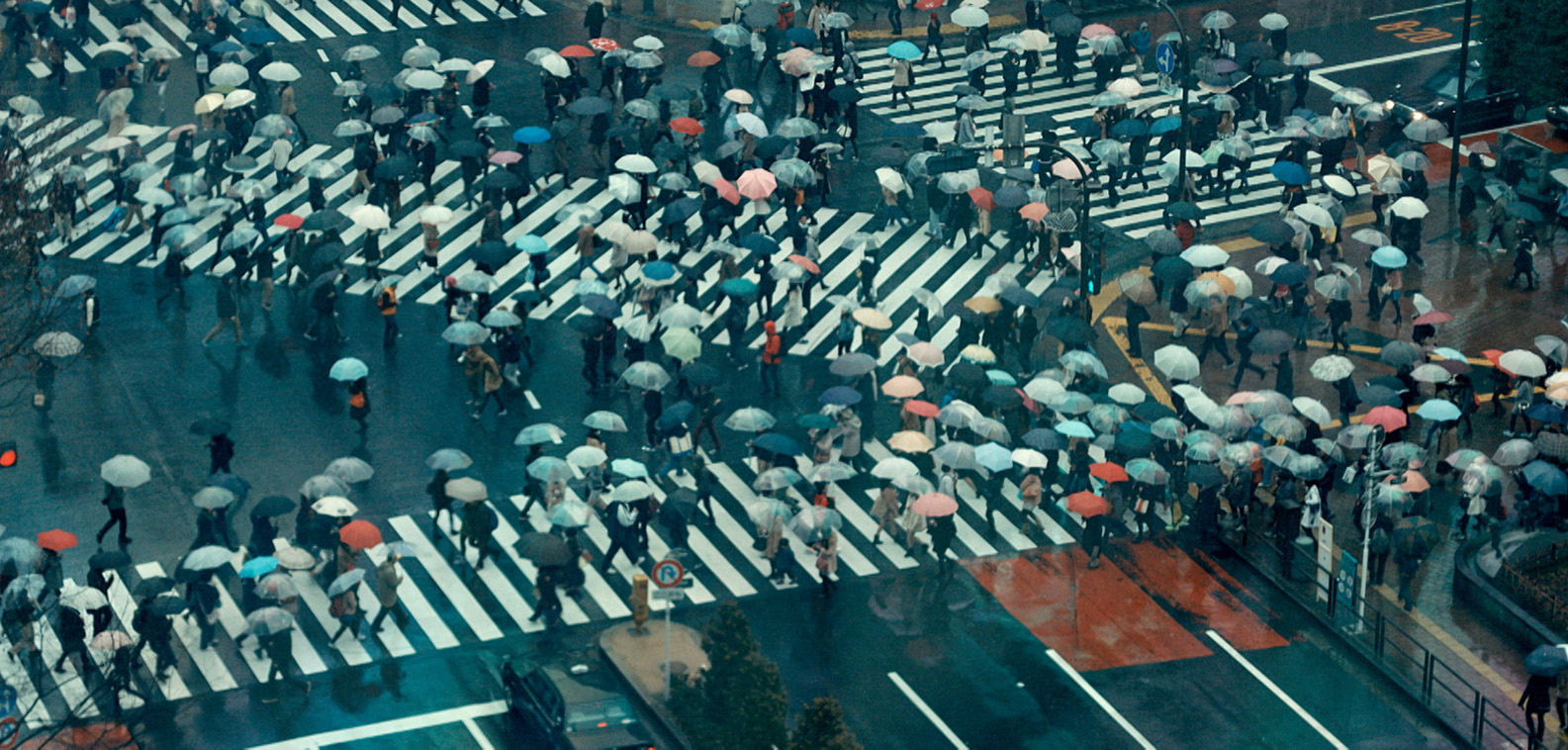 Picture from the movie