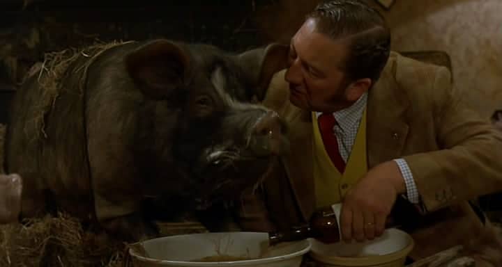 Animal Farm – Movies that Matter