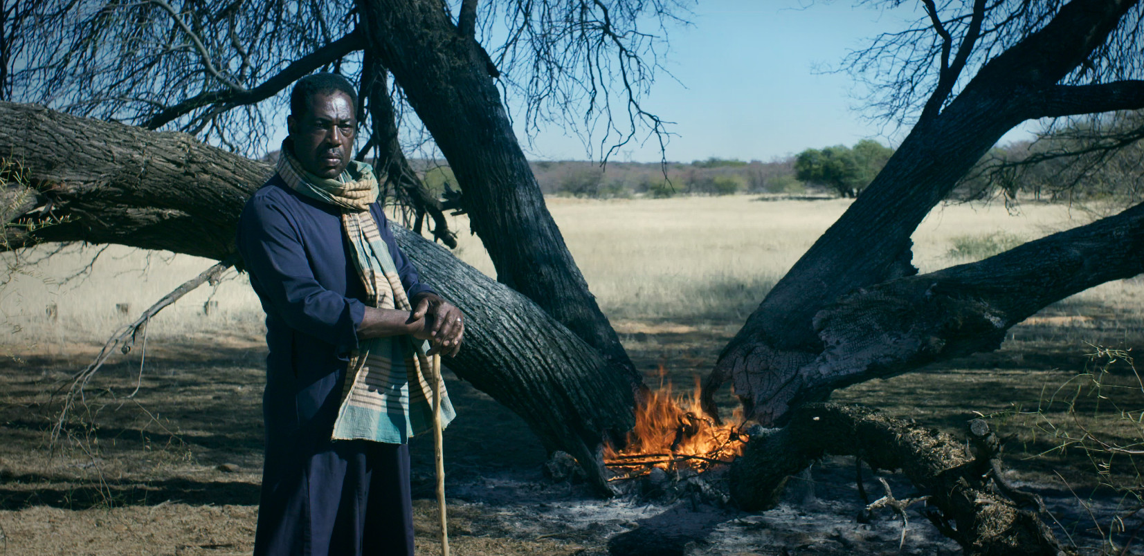 Picture from the movie