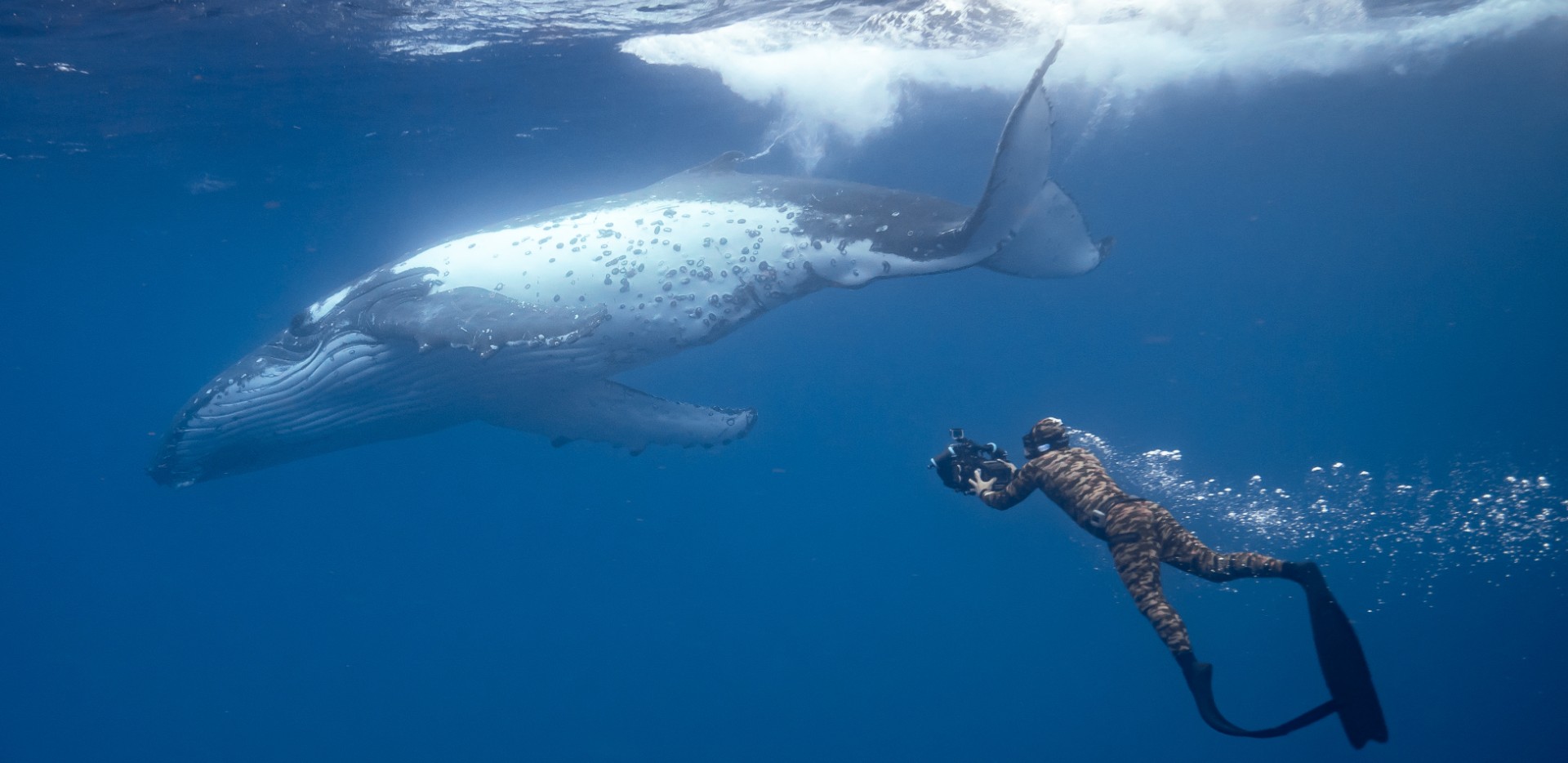 Picture from the movie