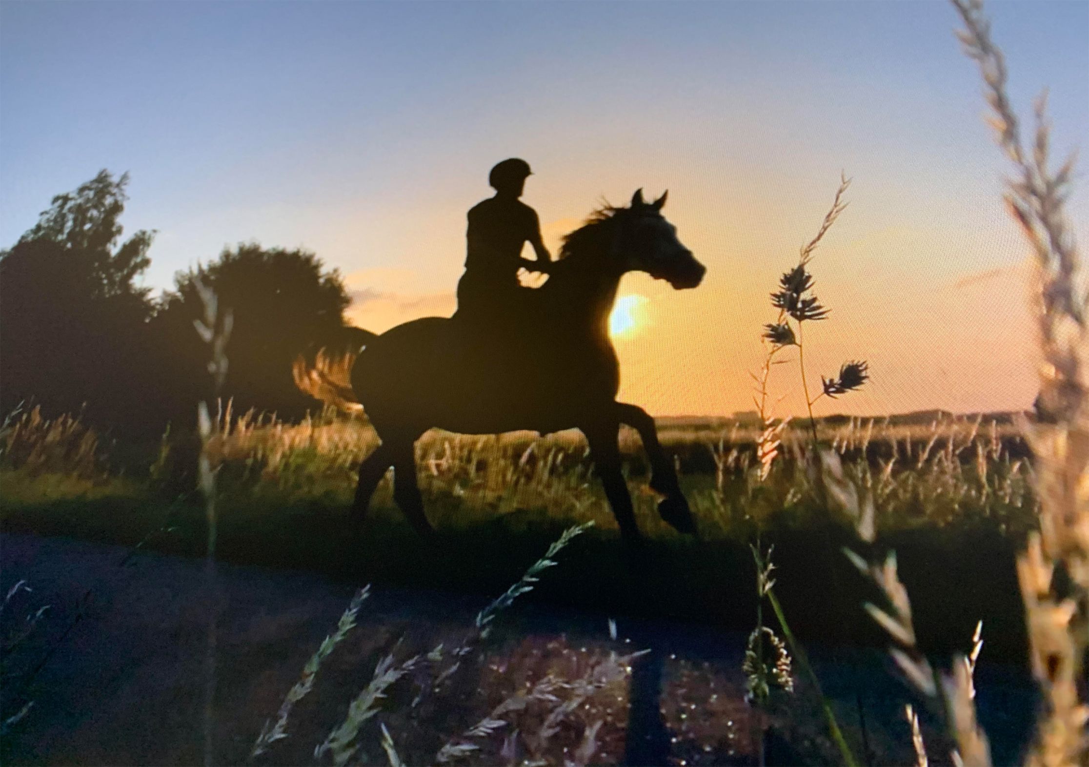 Afbeelding uit de film