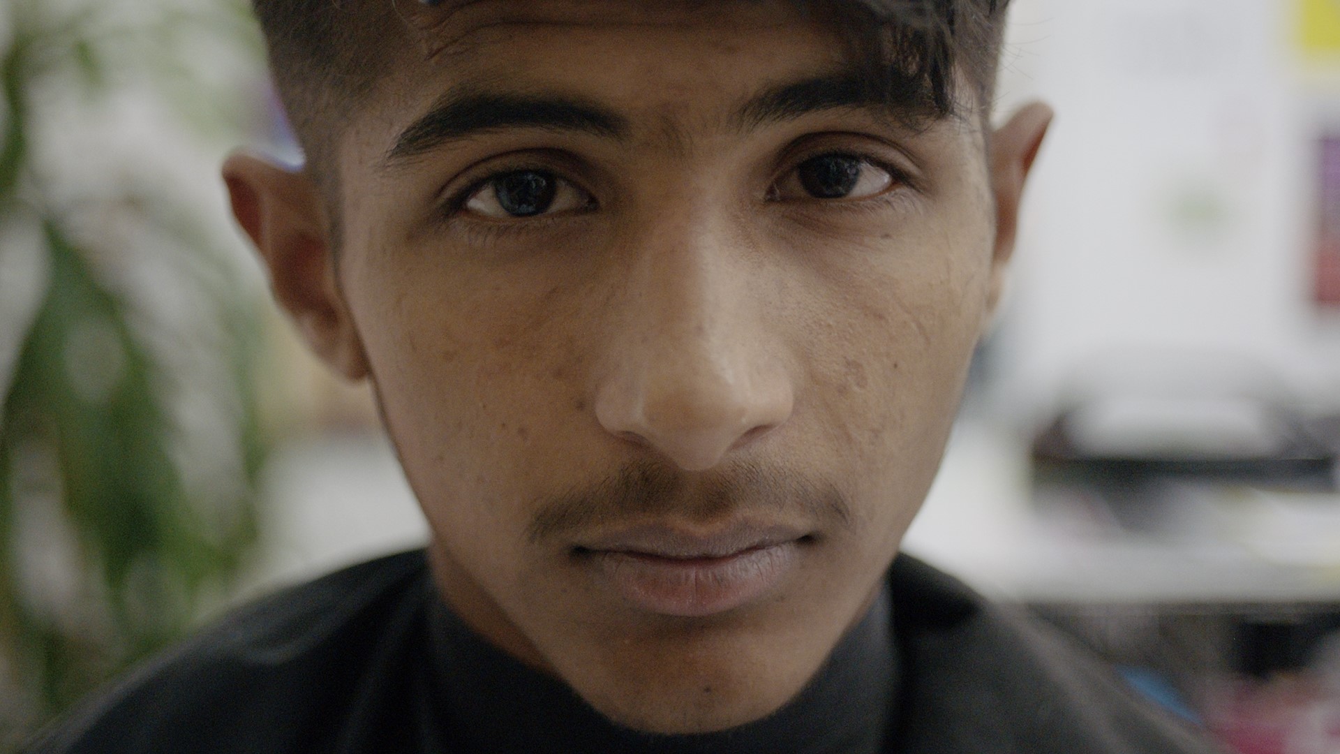 Picture from the movie