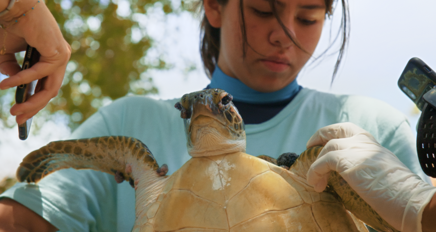 Picture from the movie