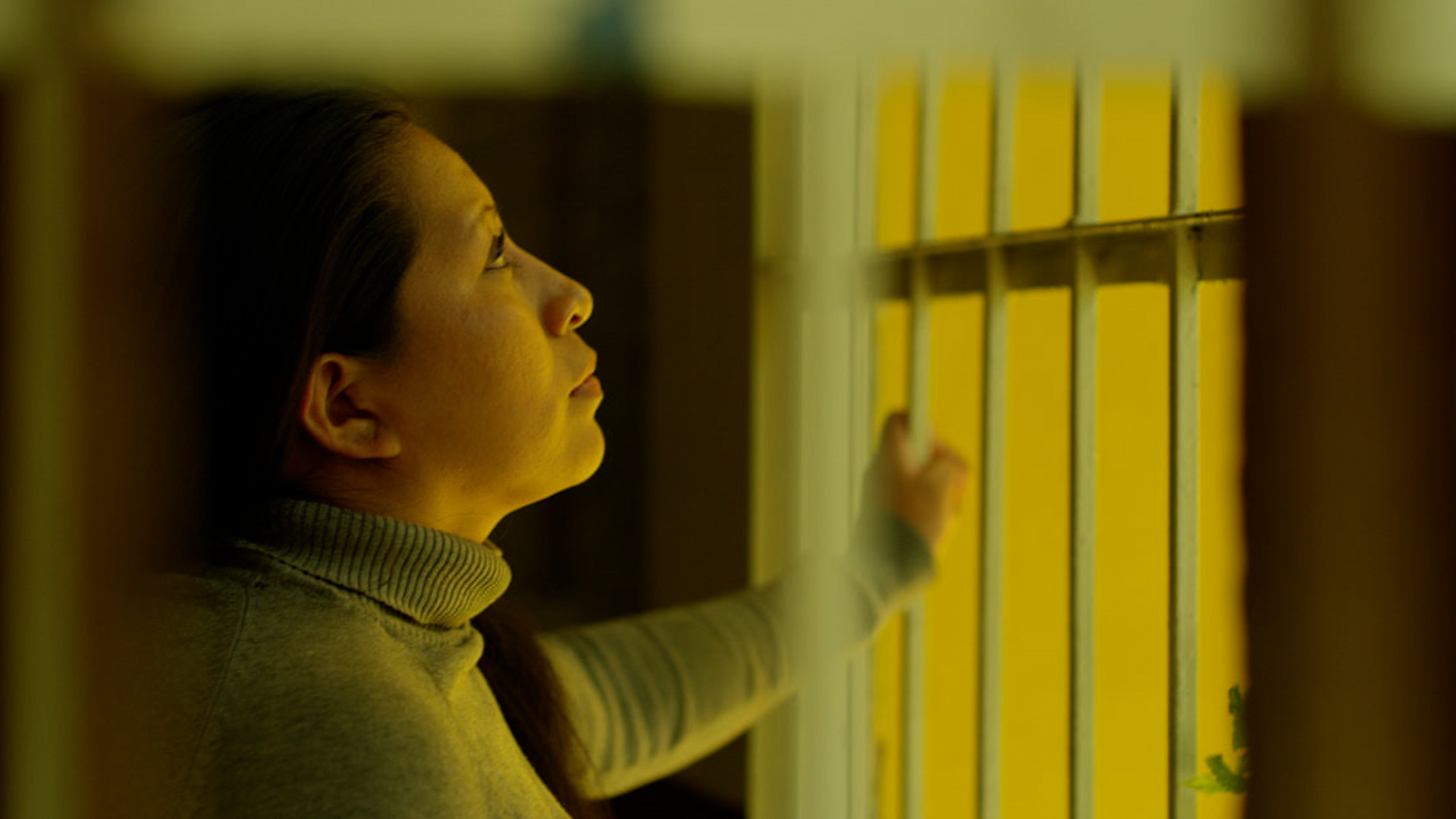 Picture from the movie