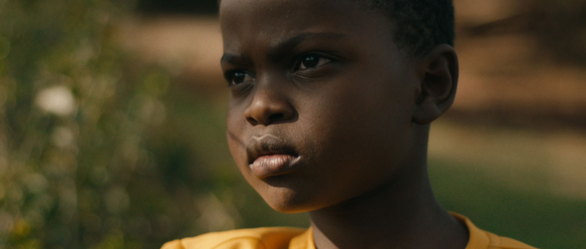 Picture from the movie