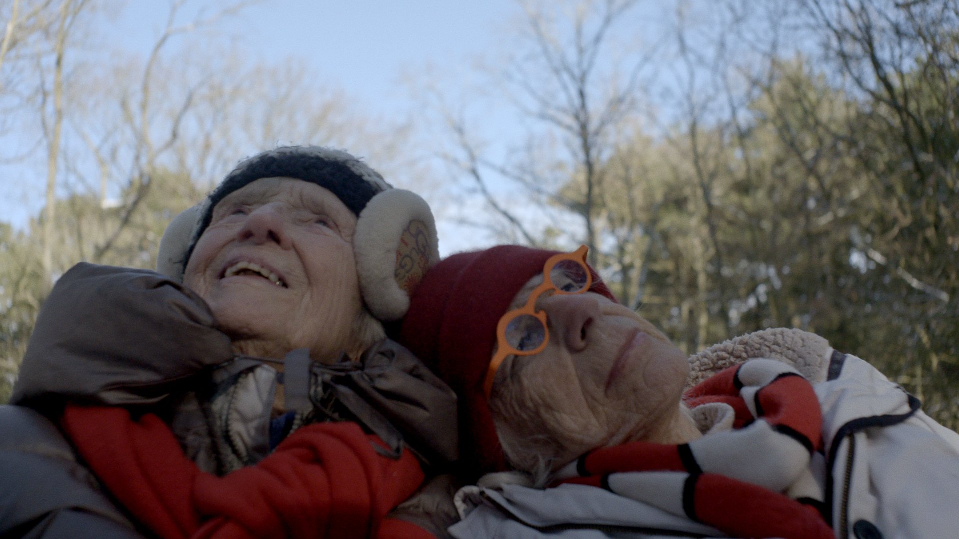 Picture from the movie