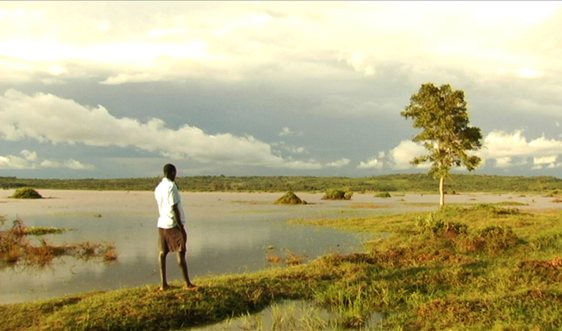 Picture from the movie