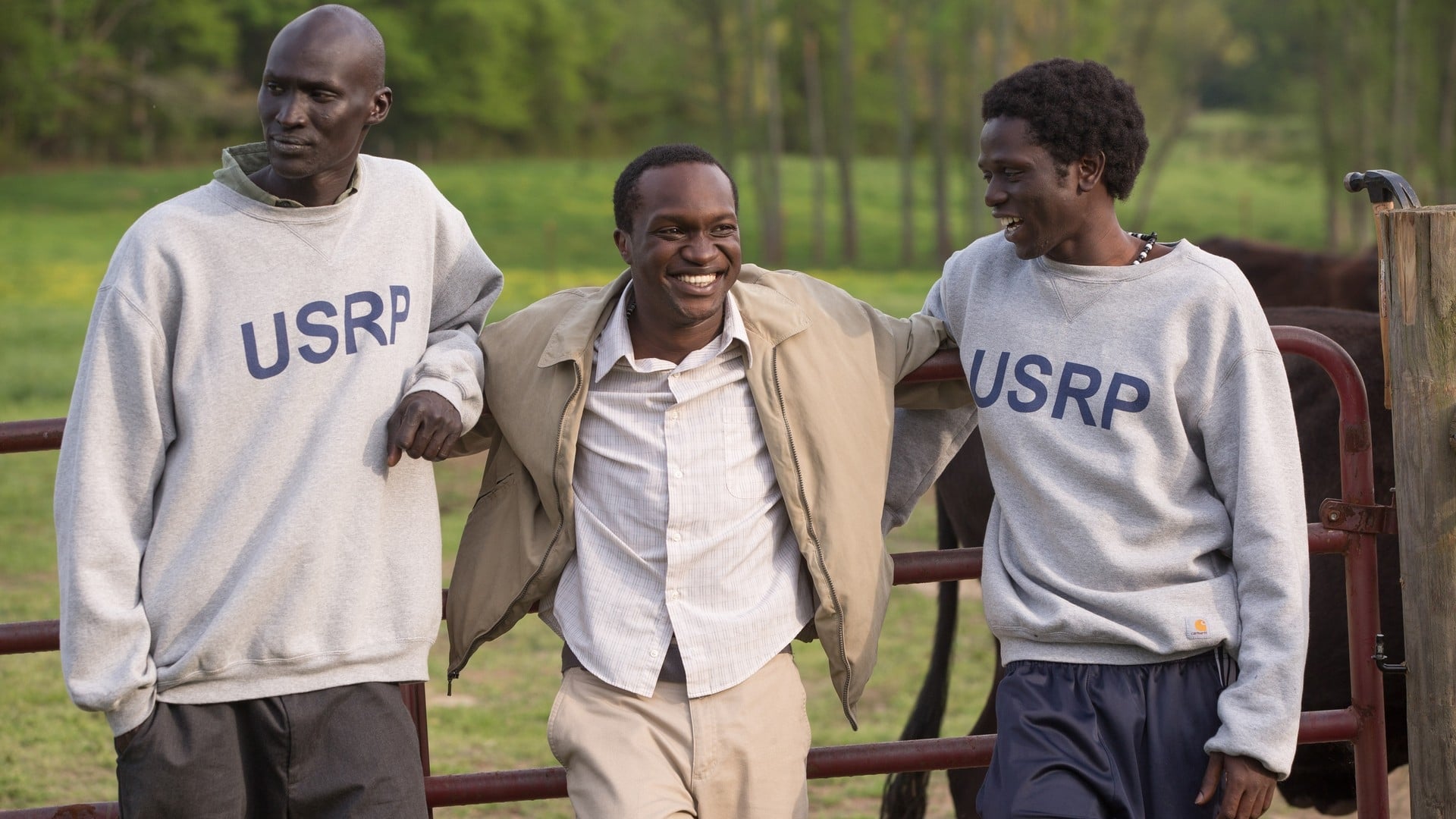Picture from the movie
