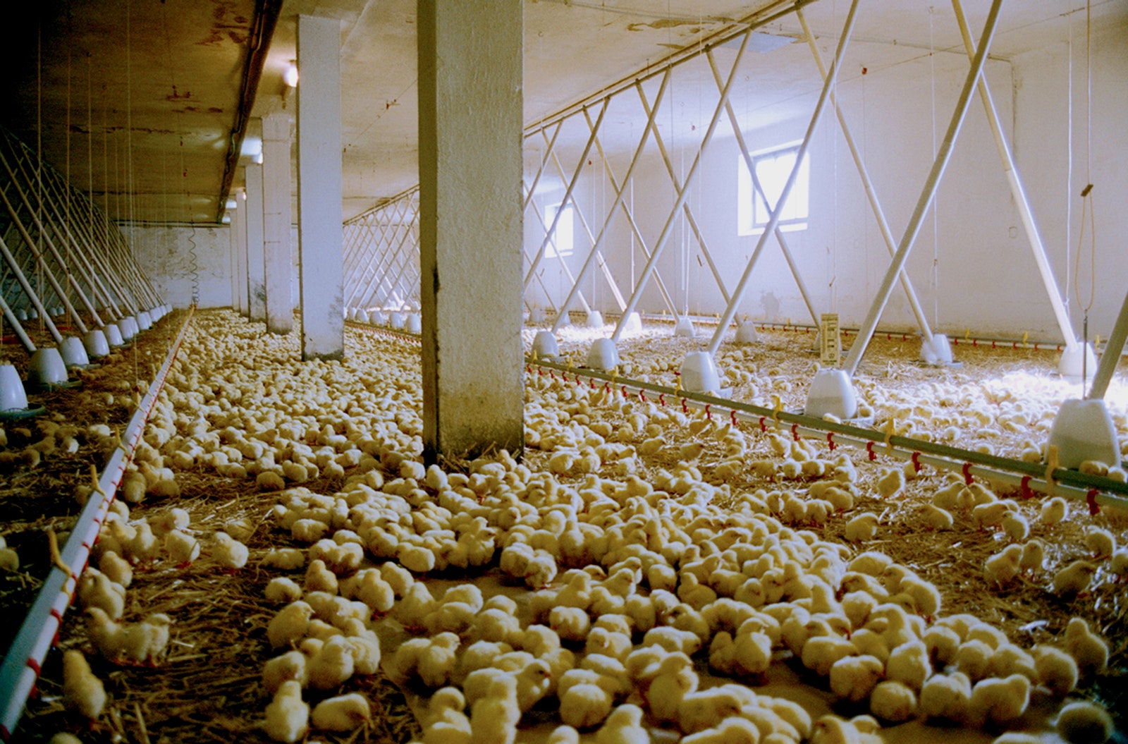 Afbeelding uit de film