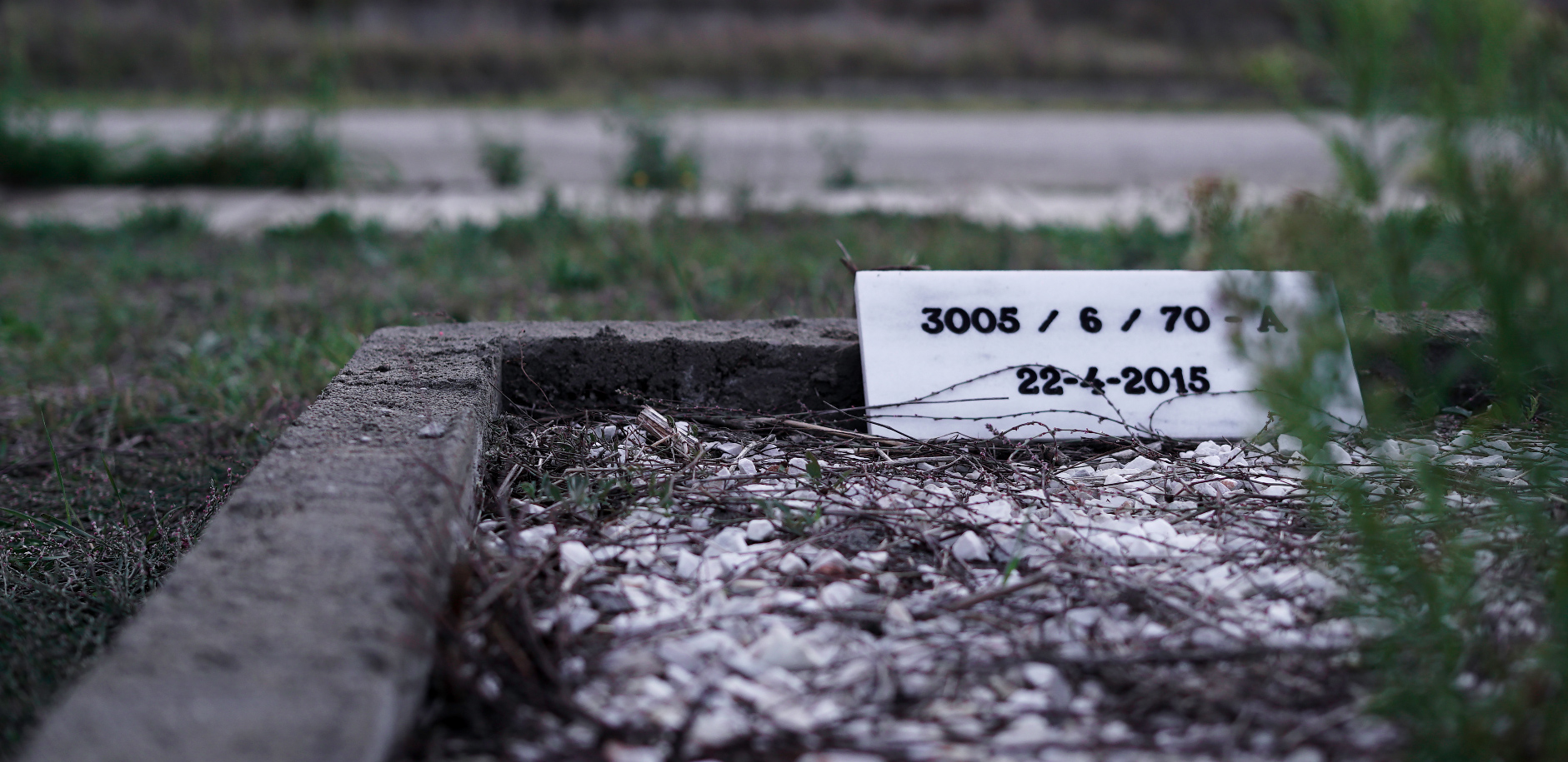 Picture from the movie