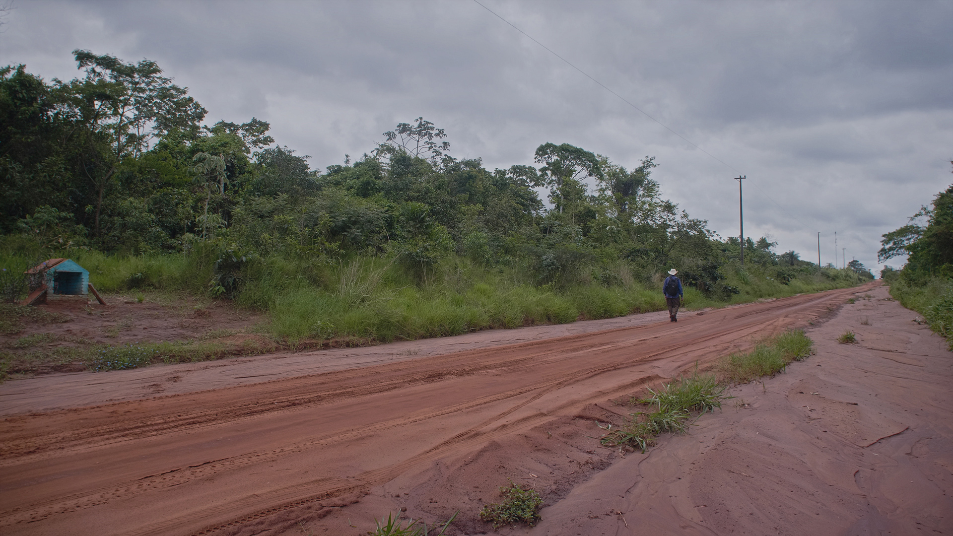 Picture from the movie