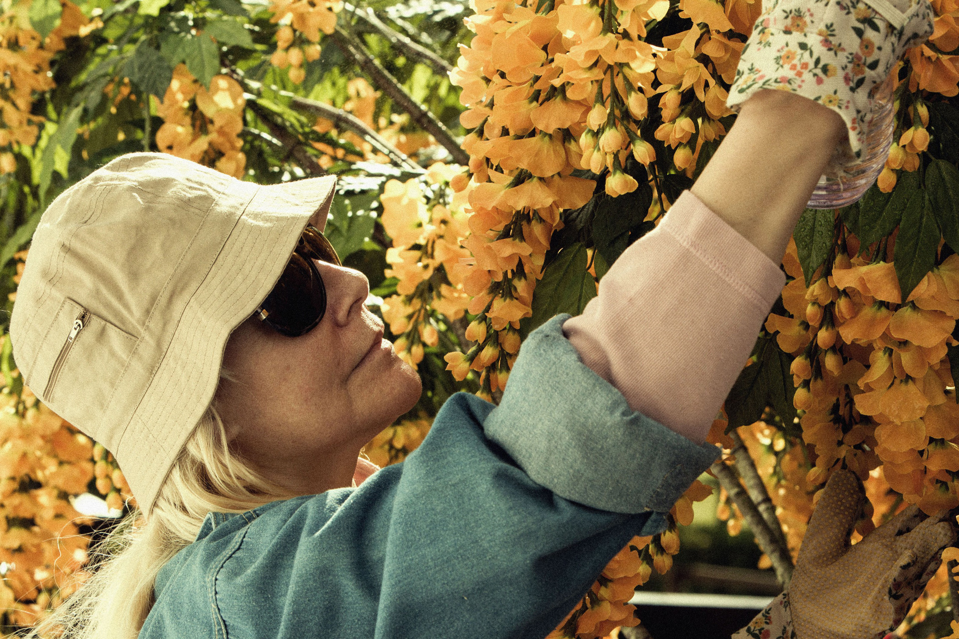 Afbeelding uit de film