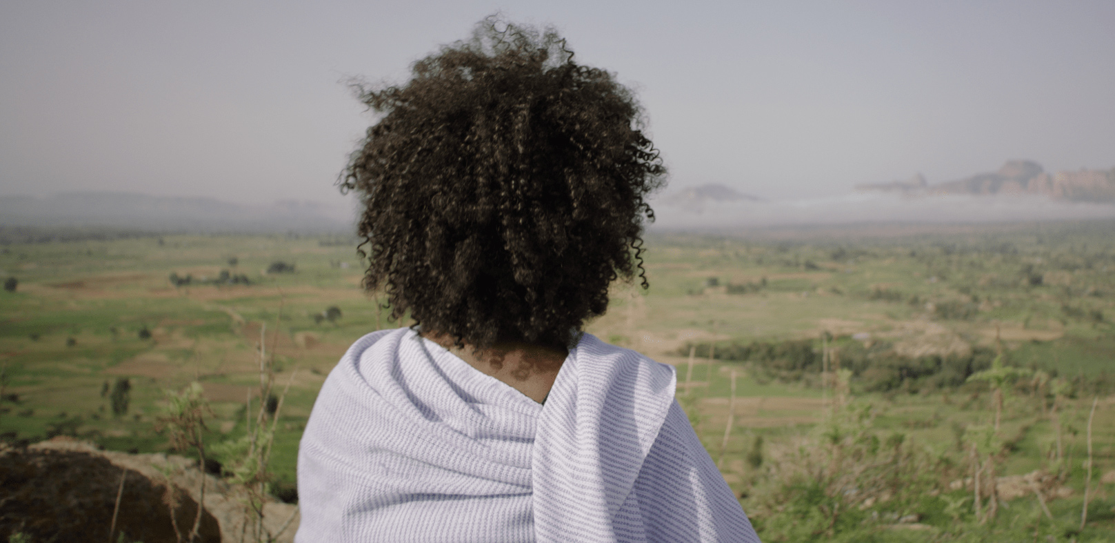 Picture from the movie