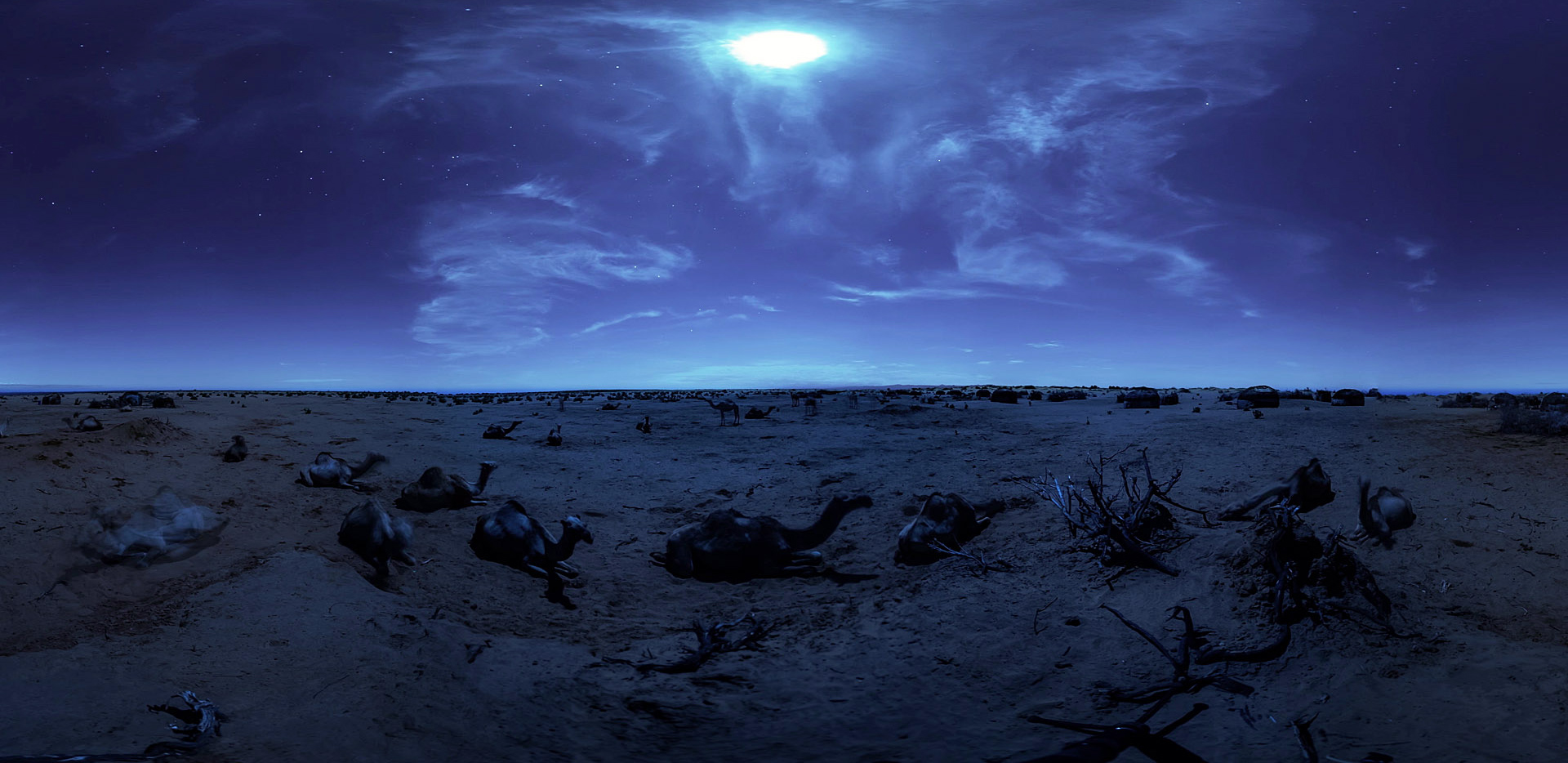 Picture from the movie