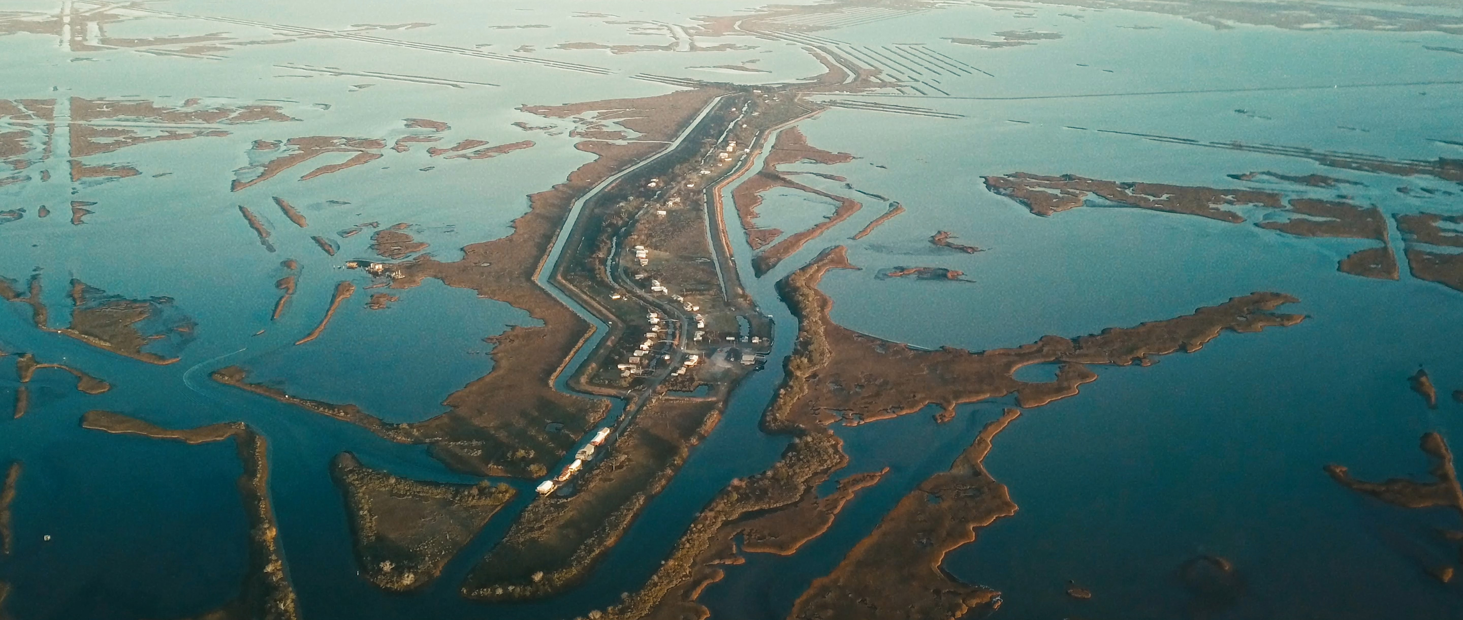 Picture from the movie