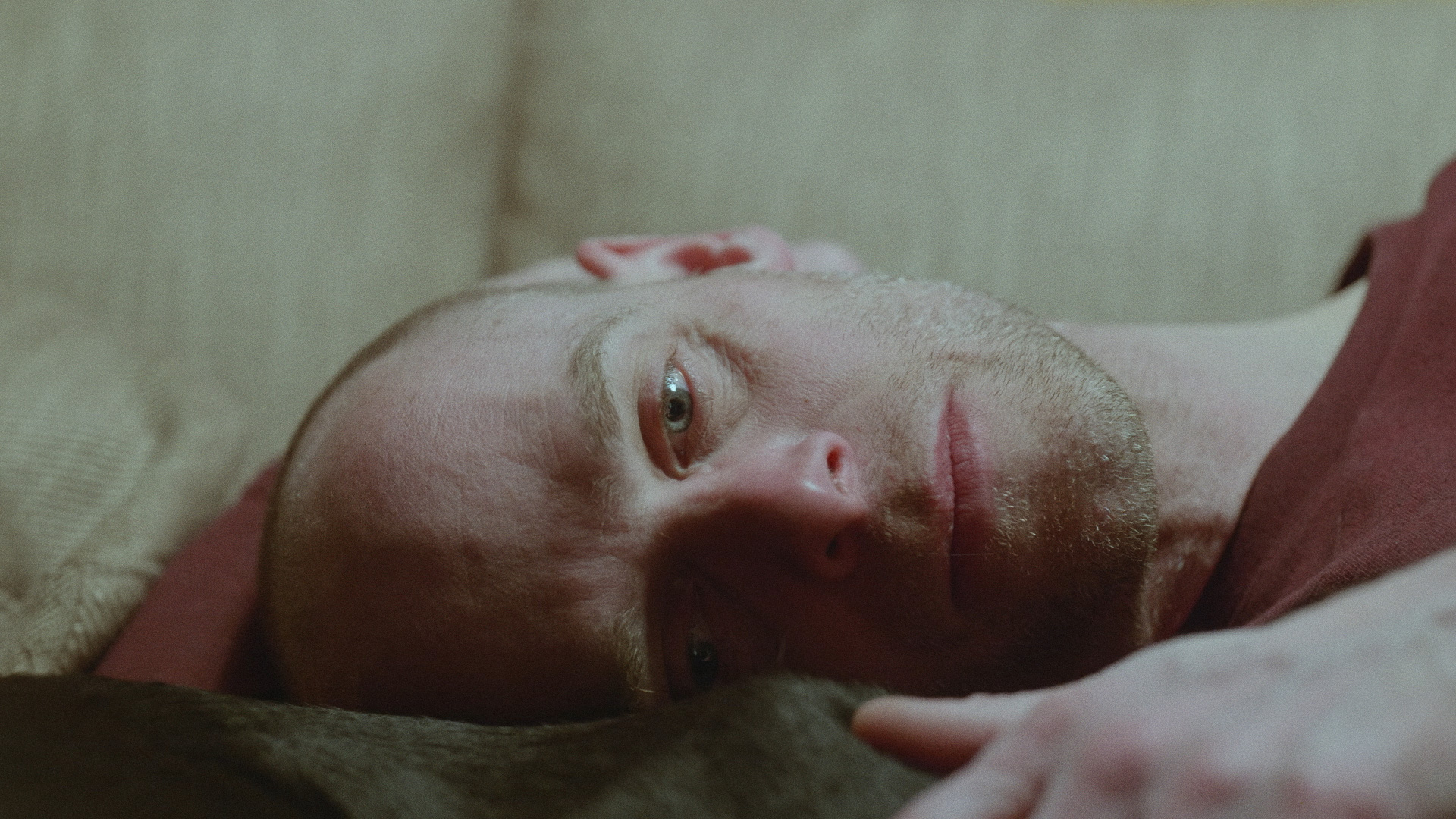 Picture from the movie