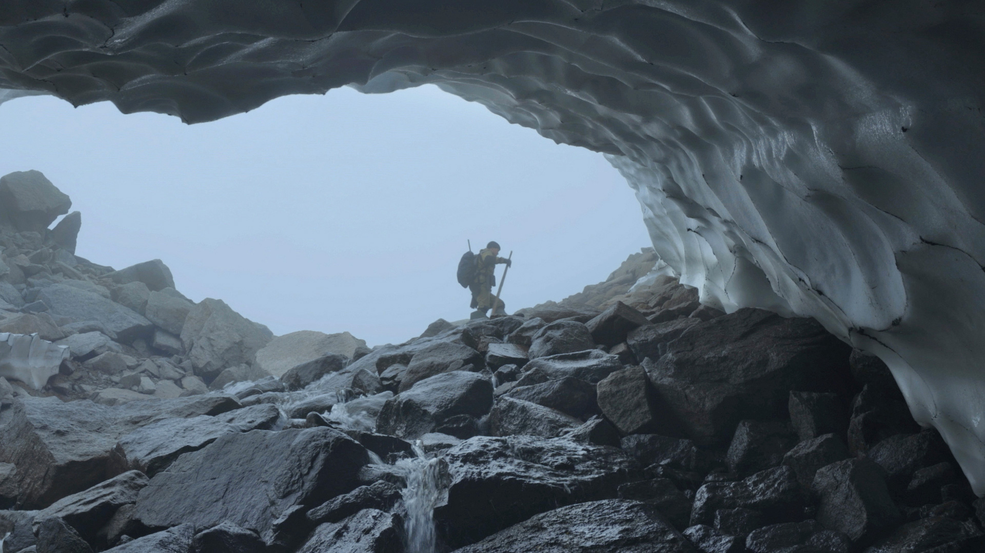 Picture from the movie