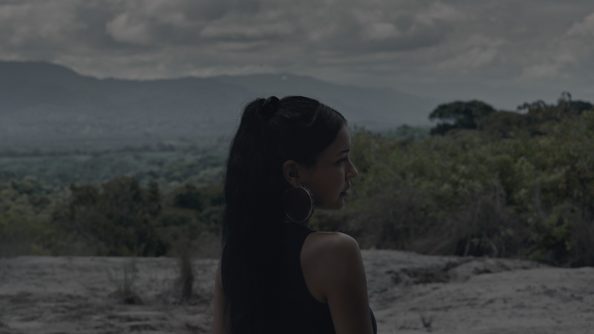 Picture from the movie