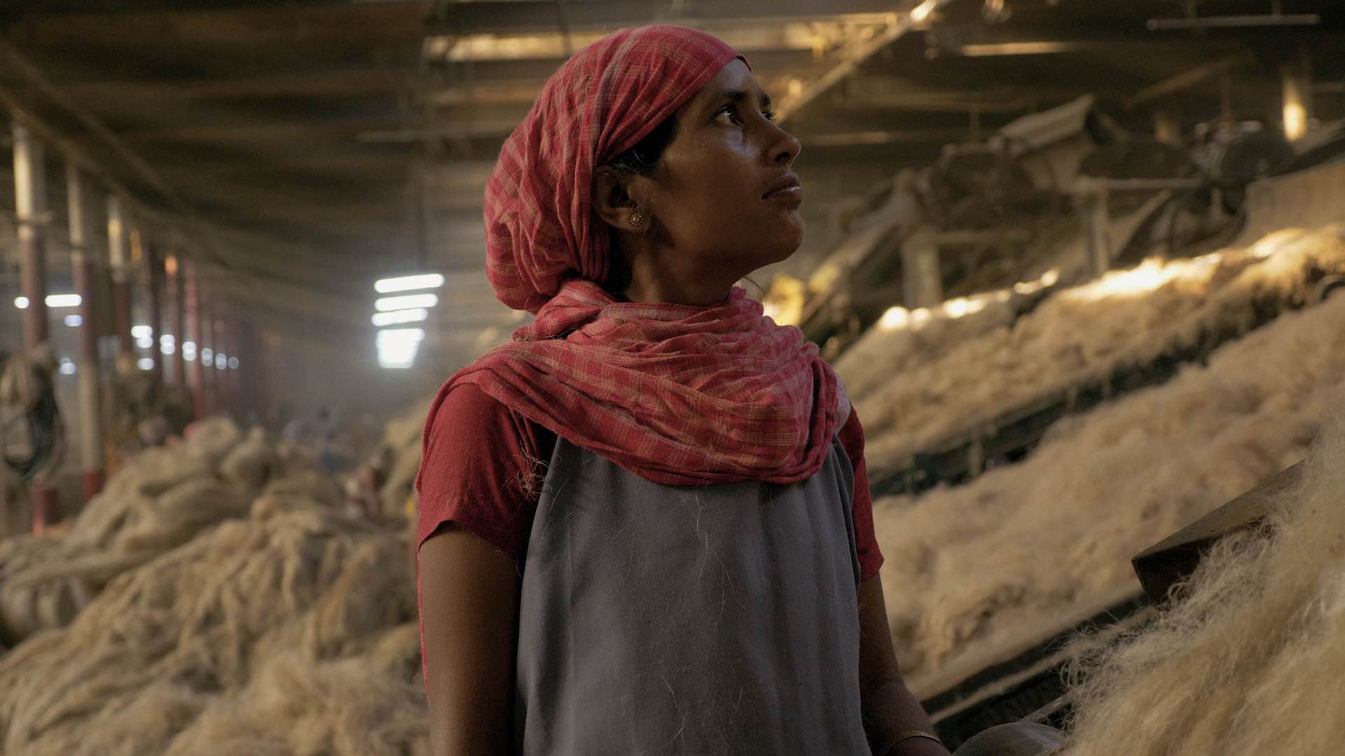 Afbeelding uit de film