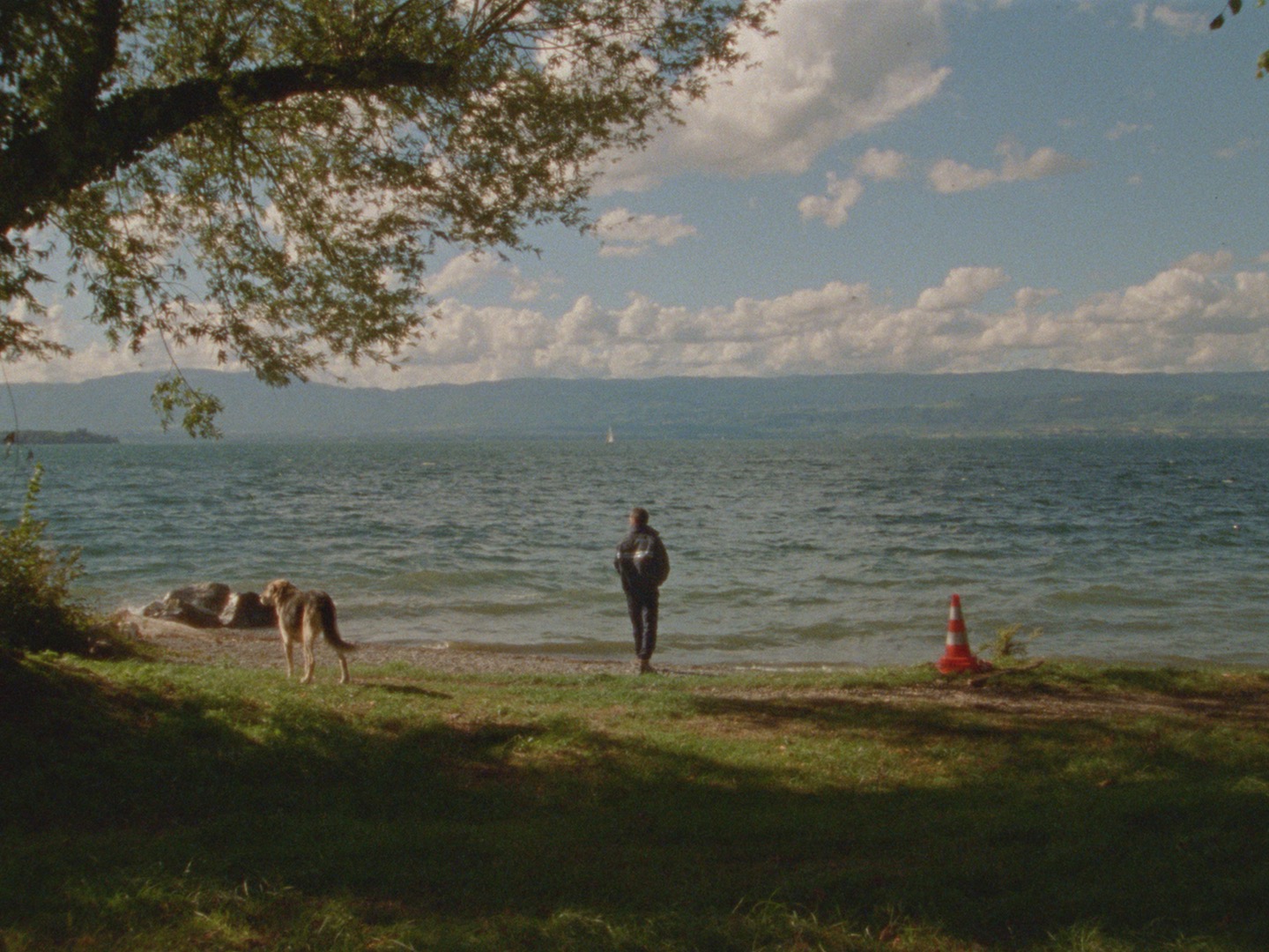 Picture from the movie