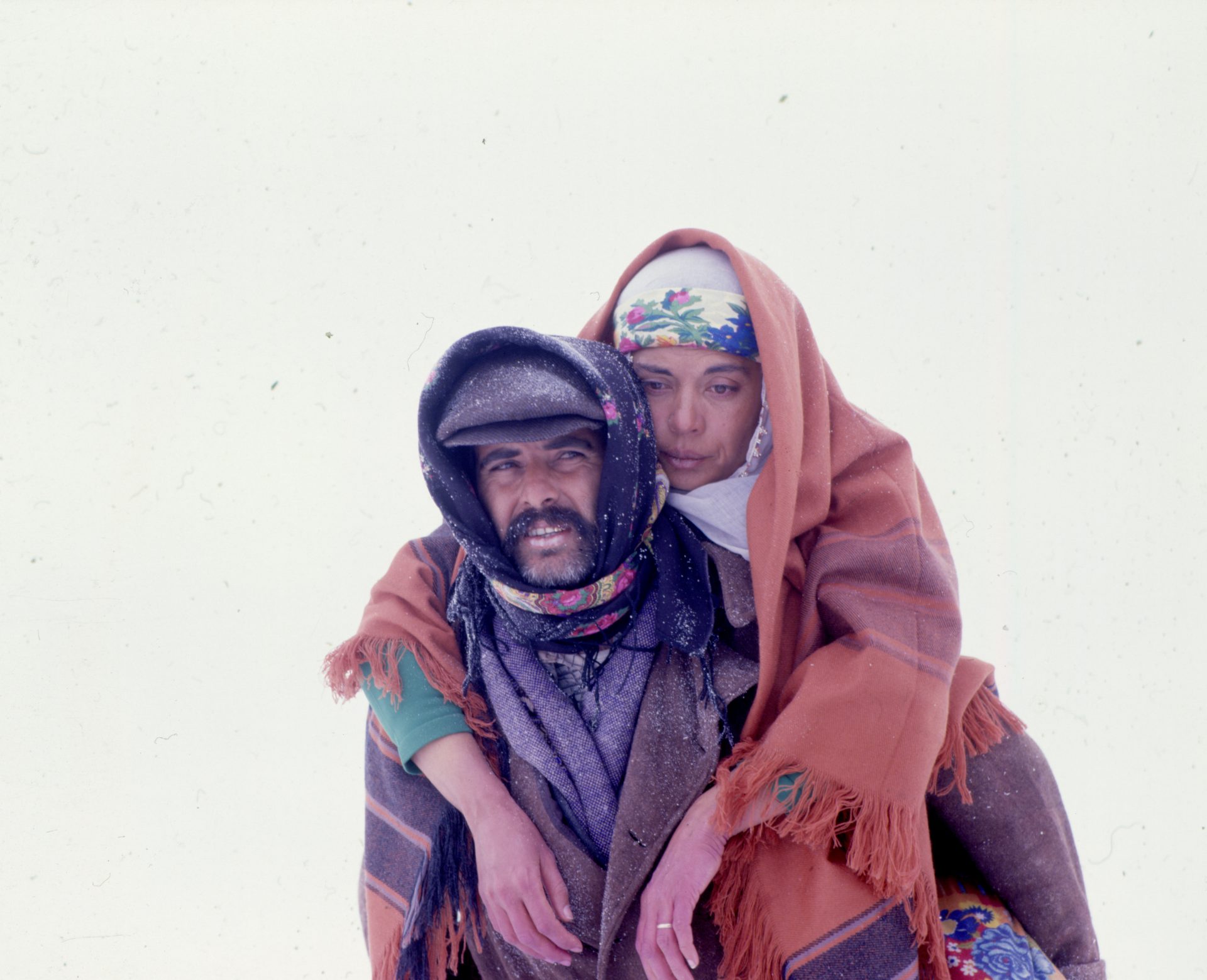 Picture from the movie