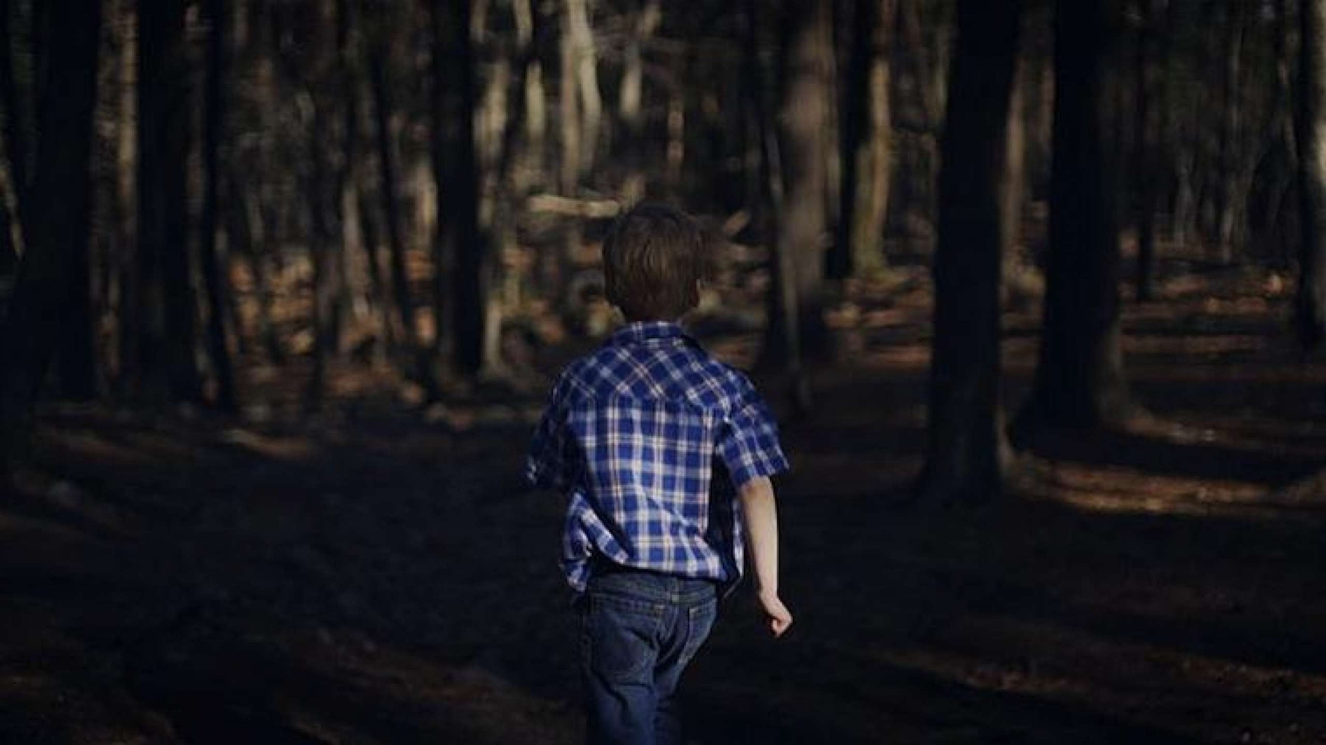 Picture from the movie