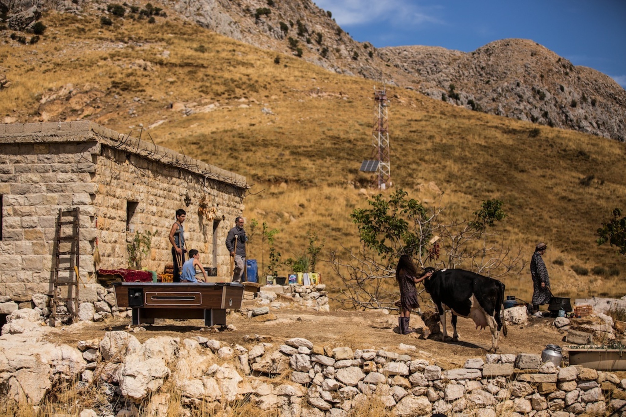 Picture from the movie