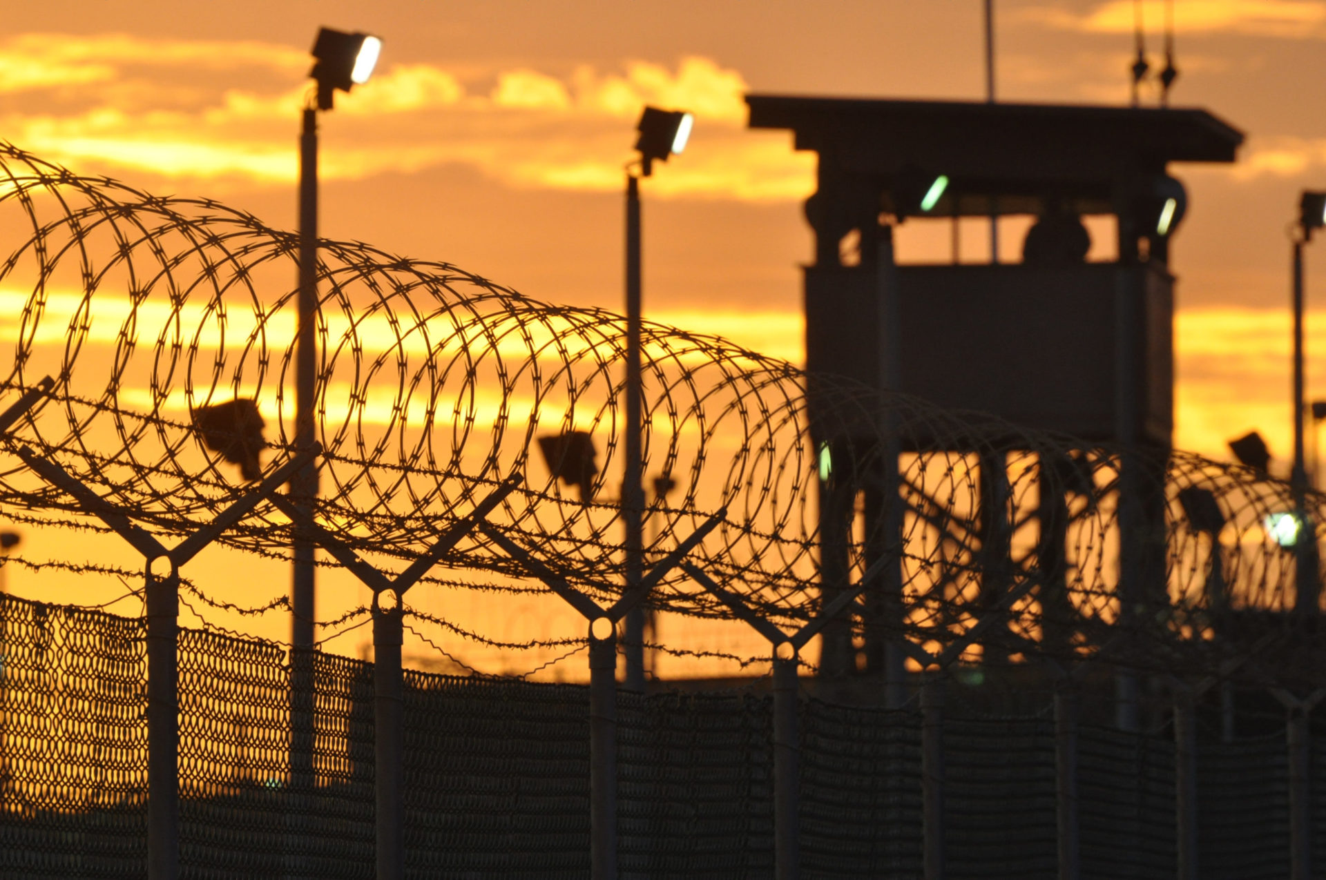 Picture from the movie