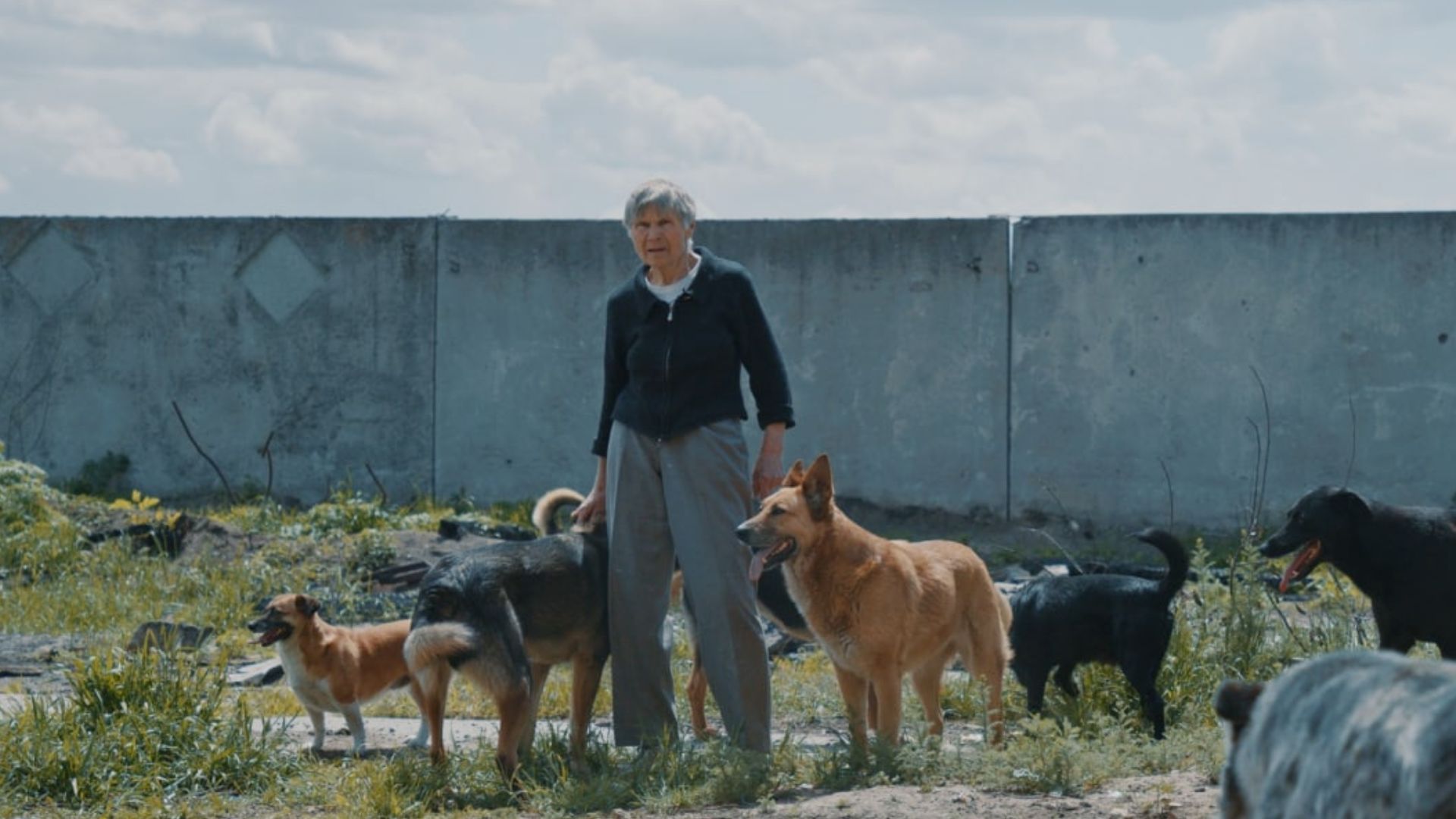 Picture from the movie