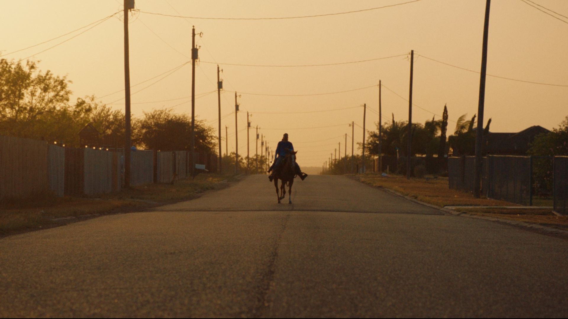 Picture from the movie