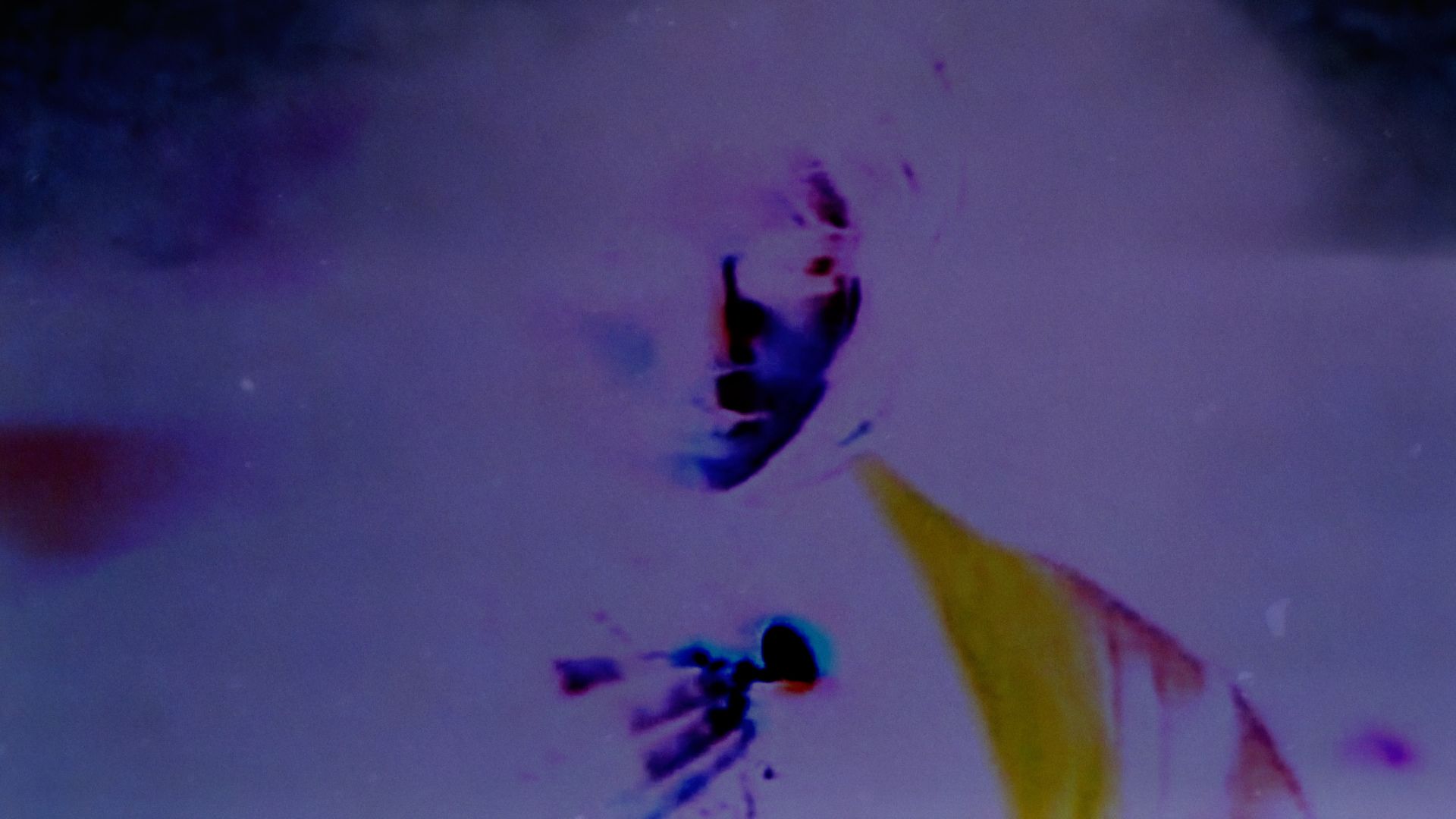 Picture from the movie