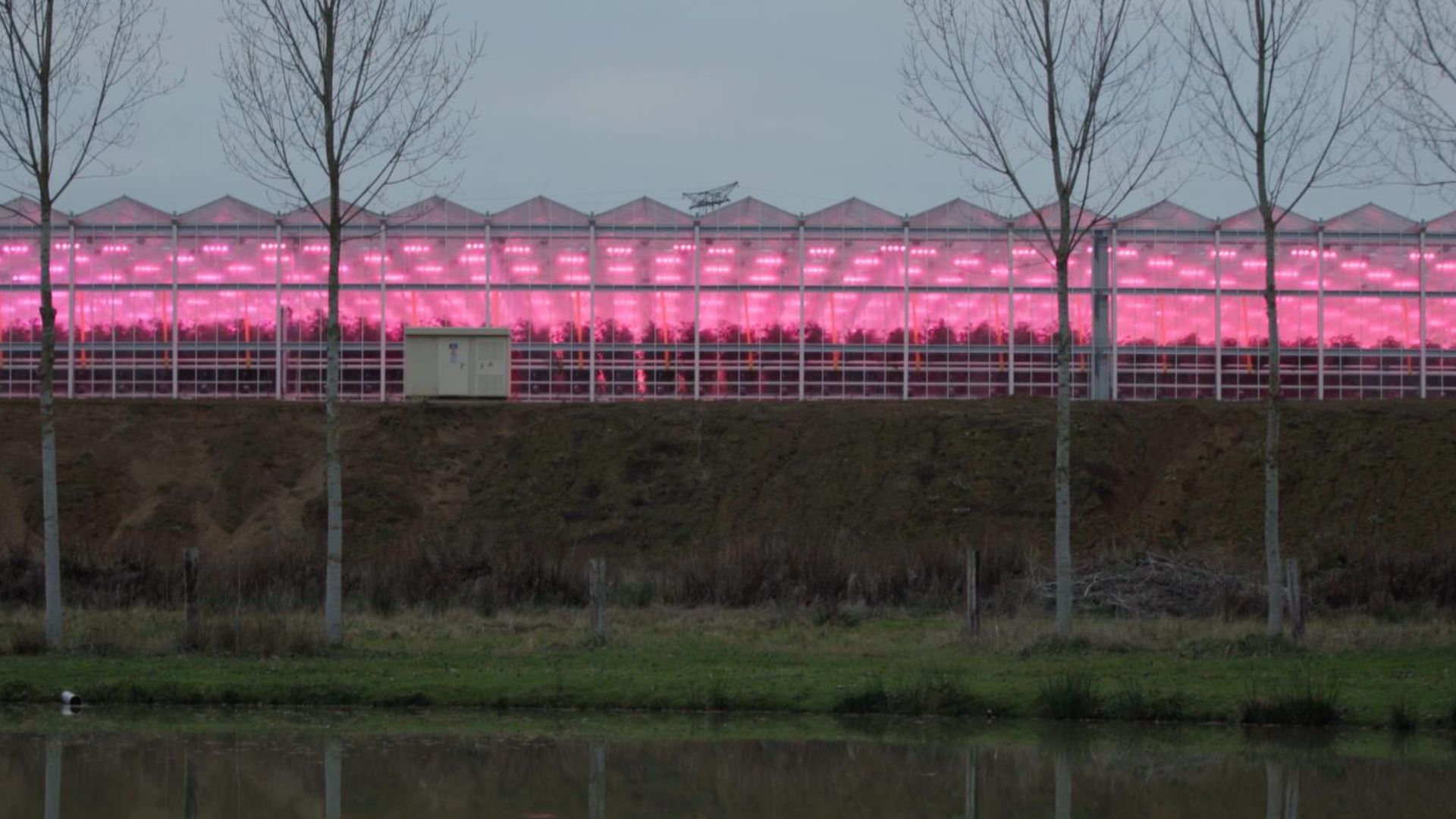 Picture from the movie