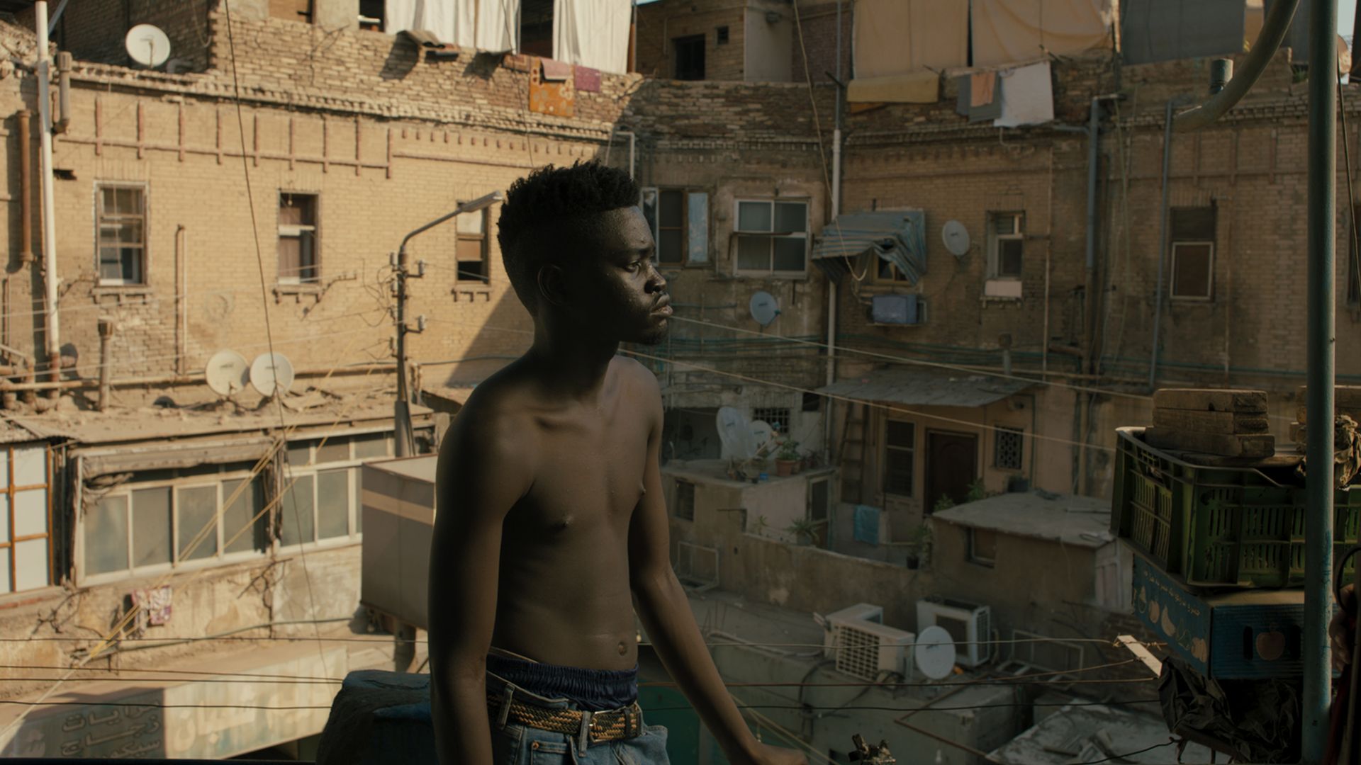 Picture from the movie